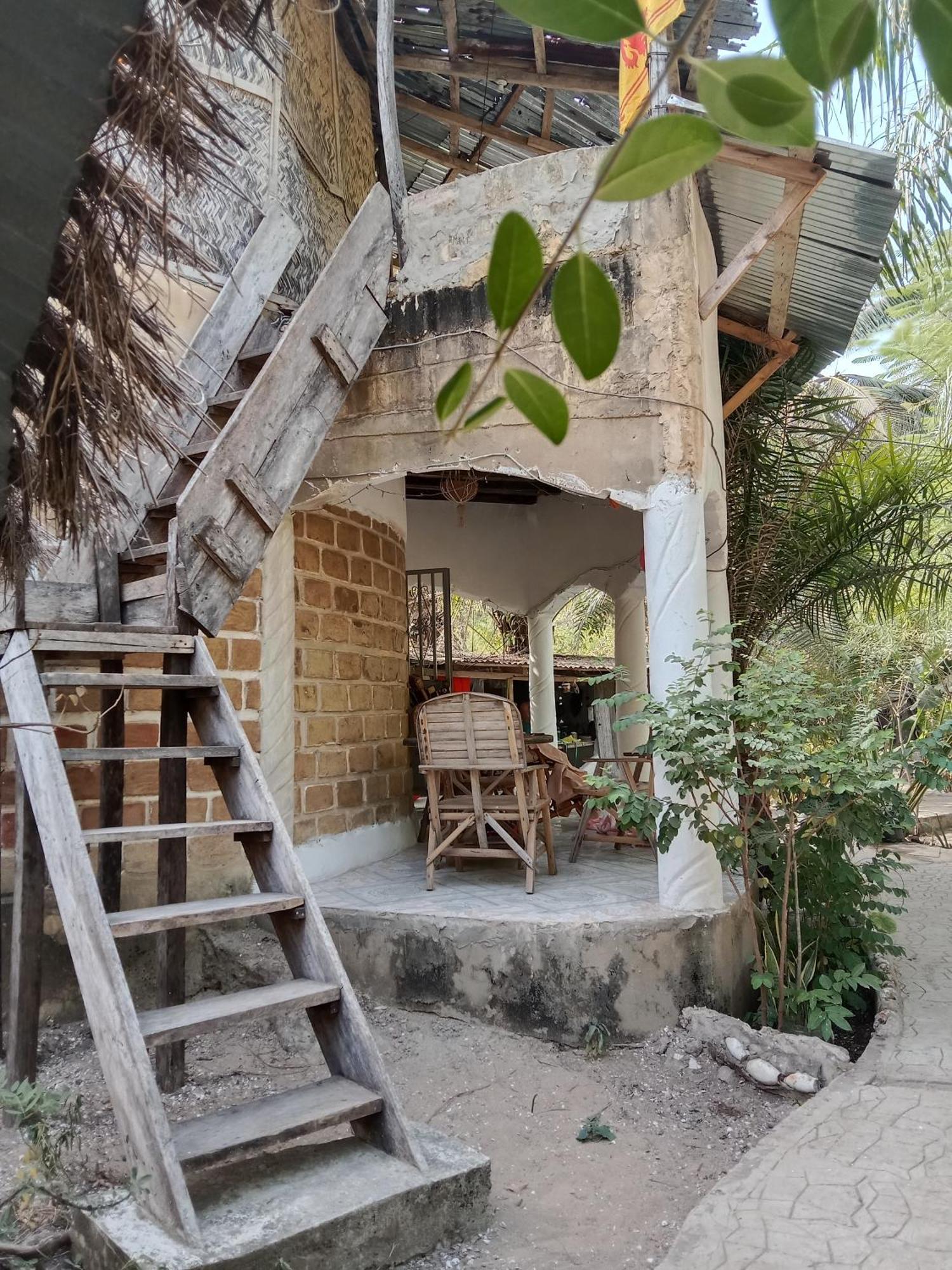 הוילה Abémé Chez Bethy & Baboulaye Jungle Et Ocean מראה חיצוני תמונה