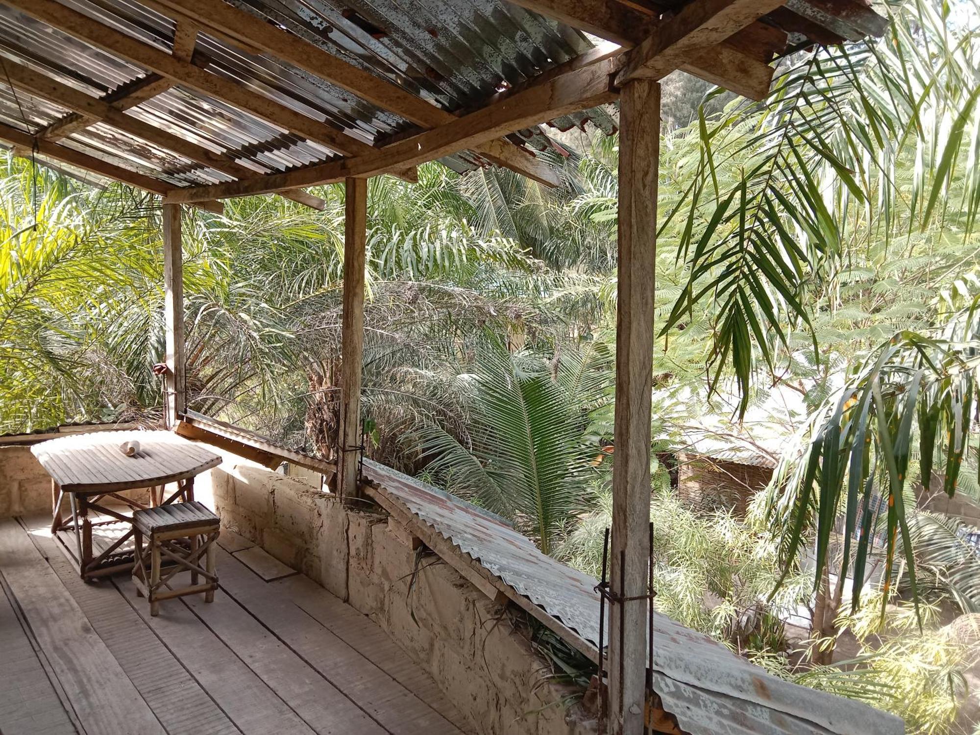 הוילה Abémé Chez Bethy & Baboulaye Jungle Et Ocean מראה חיצוני תמונה