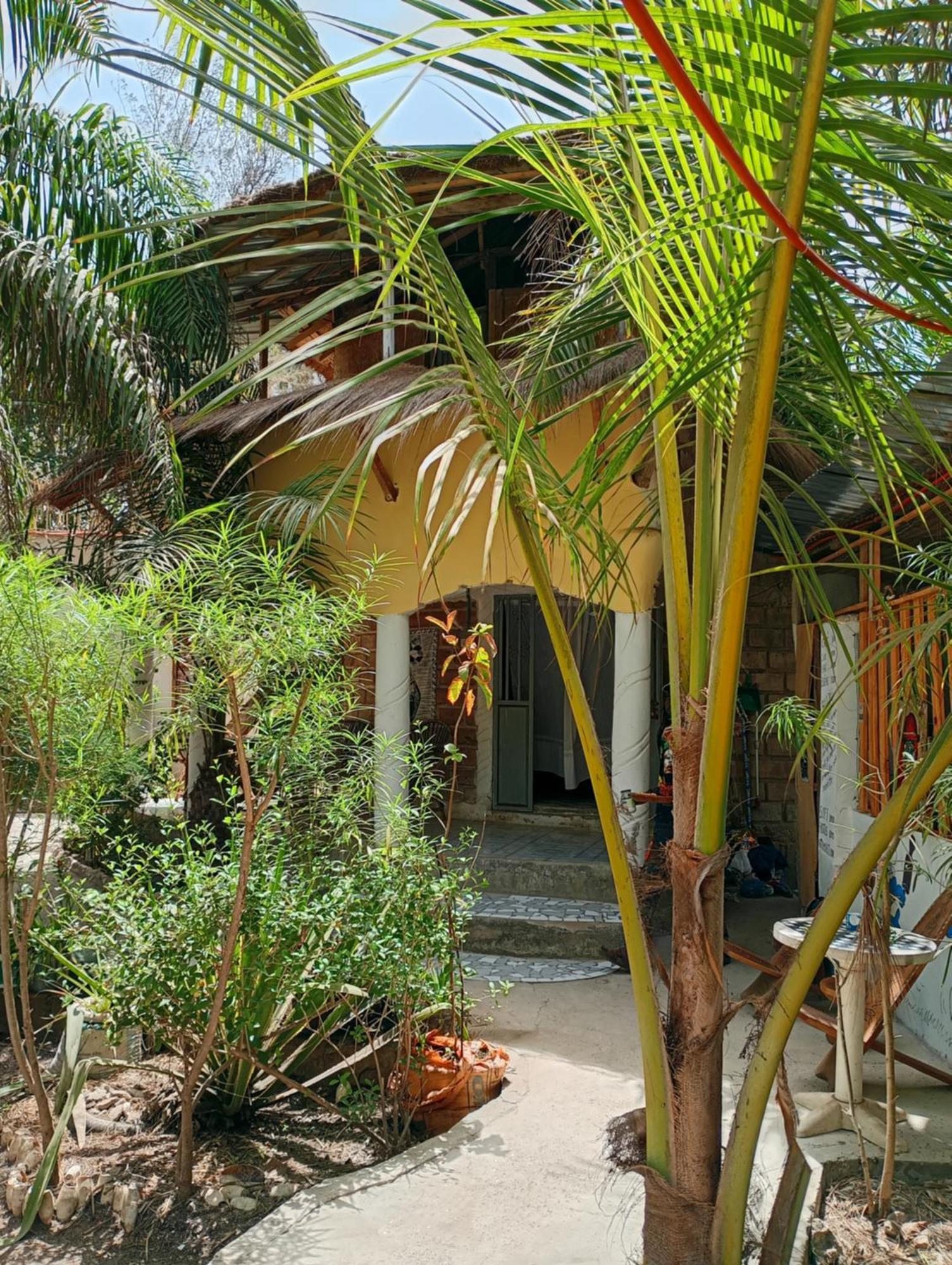 הוילה Abémé Chez Bethy & Baboulaye Jungle Et Ocean מראה חיצוני תמונה